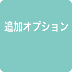 追加オプション